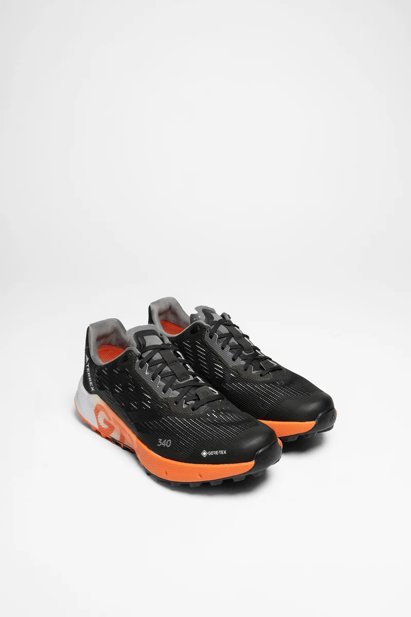 Terrex Agravic Flow 2 GTX Herren (Schwarz/Orange)