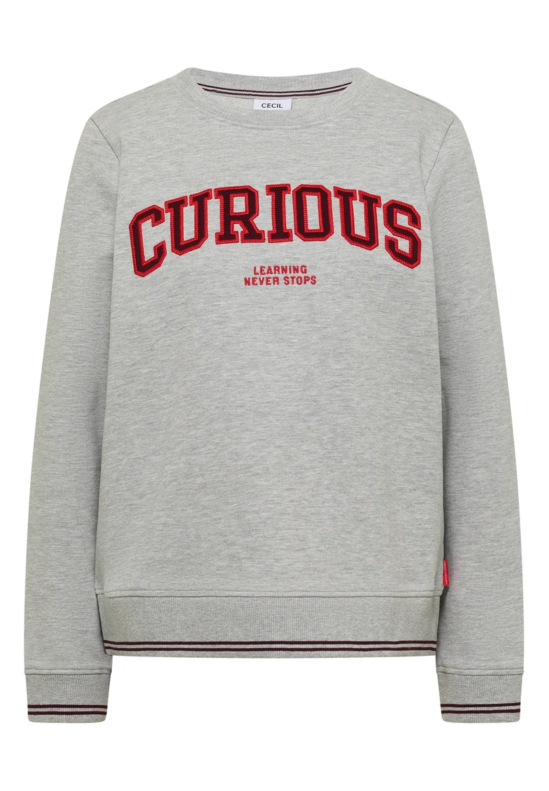 Sweatshirt mit Stickerei