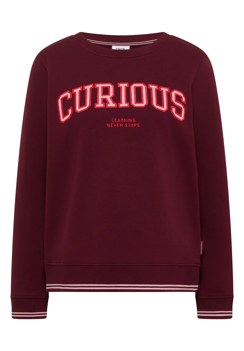 Sweatshirt mit Stickerei