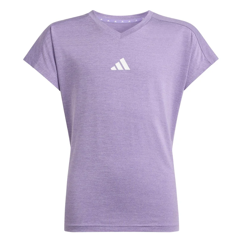 Shirt Go-To V-Neck