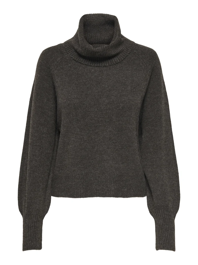 ONLOLIVIA Rollkragenpullover